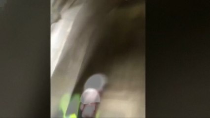 British MP's video captures panic inside parliament during attack