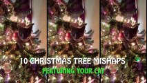10 Christmas Tree Fails - Featuring Holiday Cats! Funny Videos - Funny Fails