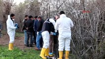 Adıyaman'da Derede Kadın Cesedi Bulundu