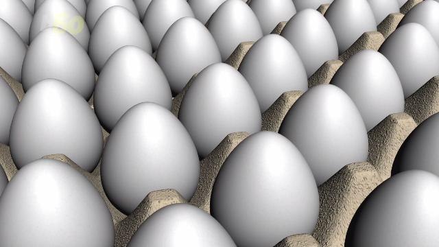 Why People Are Using Eggs to Blend Their Makeup