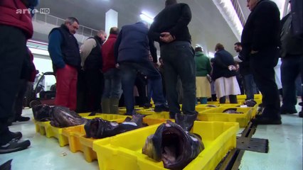 Les Soldats Oubliés De Carthage