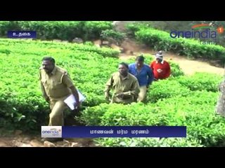 A student dead mysteriously in Coonoor | குன்னூரில் +2 முடித்த மாணவர் மர்மமான முறையில் மரணம்