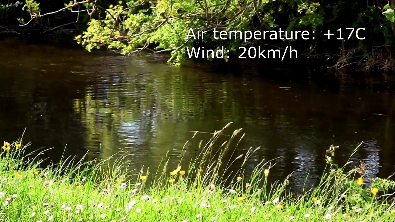 L'agréssivitée du Brochet et son attaque