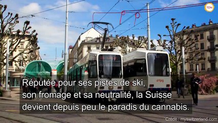 Fumer un joint légalement... La Suisse : le nouveau paradis de la consommation de cannabis
