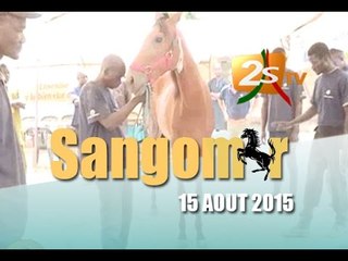 Sangomar 15 AOUT 2015