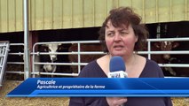 Hautes-Alpes : les producteurs fermiers inquiets à cause du changement d'heure