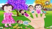 Rabbit Finger Family | Nursery Rhymes Farmees | Children Songs | Baby Rhymes | Kids Videos