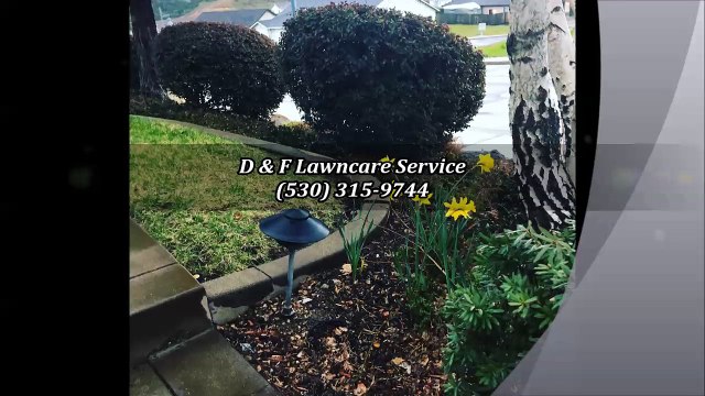 D & F Lawncare Service - (530) 315-9744