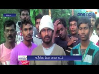 நள்ளிரவில் ஊருக்குள் புகுந்த காட்டு யானைக் கூட்டம்... திருப்பி அனுப்ப 7 மணி நேரப் போராடிய மக்கள்