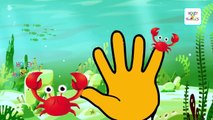 Finger family nursery rhymes! animal finger family songs! animals finger family rhymes! daddy finger