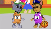 Paw Patrol Full Episodes - Paw Patrol Cartoon Nick Jr English - Animation Paw Patrol Playl