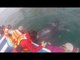 Cheeky Whale Gets Close to Boaters in Mexico
