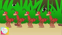 Ants Go Marching | Counting Songs | Baby Nursery Rhymes & Kids Song Collection by Little T