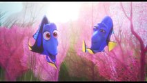 Finding Dory Movie CLIP - Baby Dory (2016) - Ellen DeGeneres, Ed O'Neill Movie HD(360p)