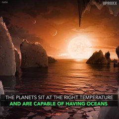 Did NASA Just Find Aliens?