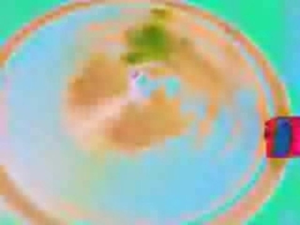 Homestage - TerrorisT sKiZe - CHIBAR records