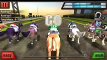 Horse Racing 3D Gameplay IOS / Android