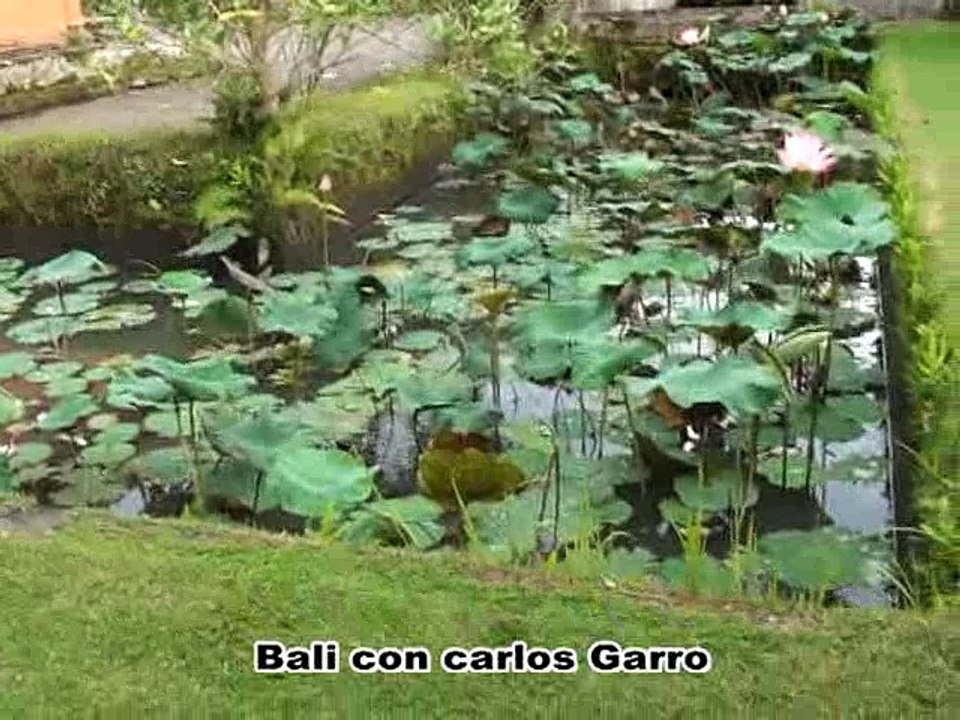 Bali - Programa Con Rita Colli