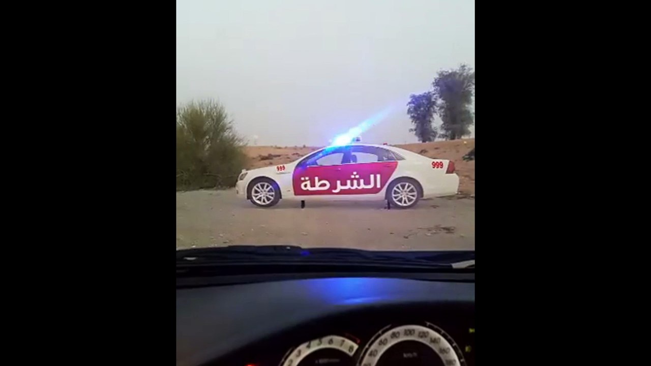 Cop Car Cutout