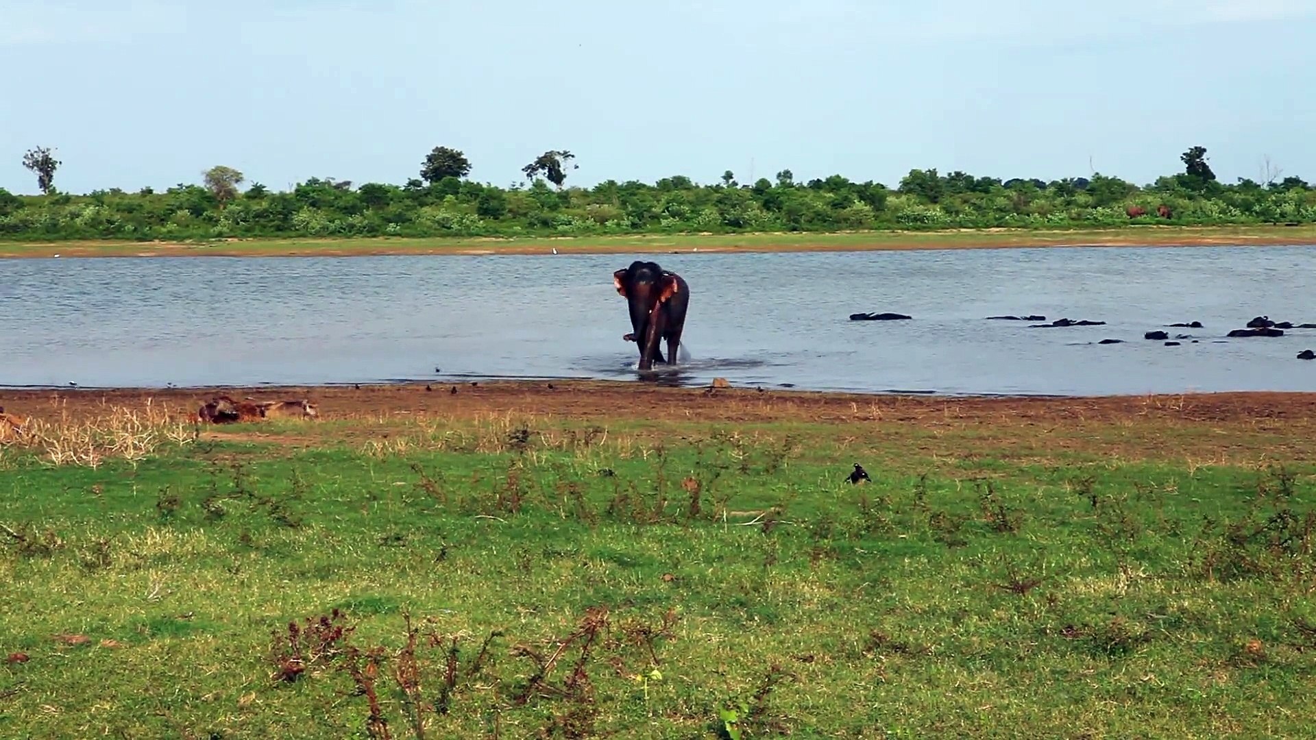 Sri Lanka