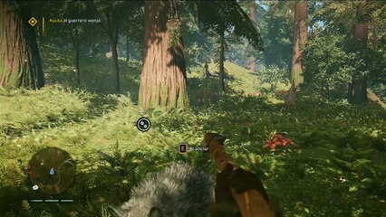 Farcry Primal, Gameplay Historia 13, Reclutando al guerrero Wenja quemando cadaveres
