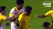 Paulinho Second Goal HD - Uruguay vs Brazil 1-2