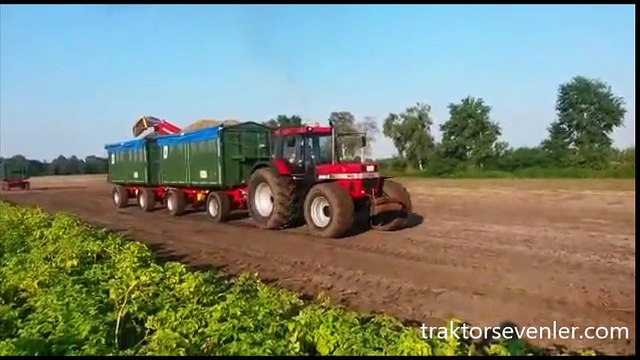 CASE IH 1455 SOUND