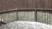 Heavy Hail Blankets Backyard in Cleveland, Tennessee