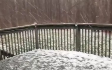 Heavy Hail Blankets Backyard in Cleveland, Tennessee