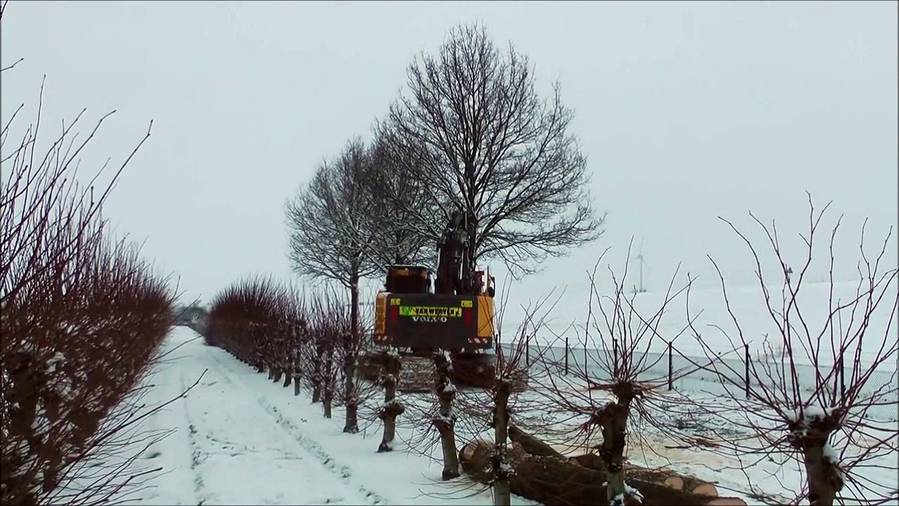 New Holland Forestry