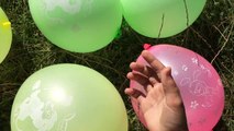 5 Rainbow wet Balloons Colors SpiderGirl - Learn Colours Balloon Finger Family Nursery Com