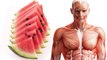 What Happens to Your Body when You Eat Watermelon Everyday – Benefits of Watermelon