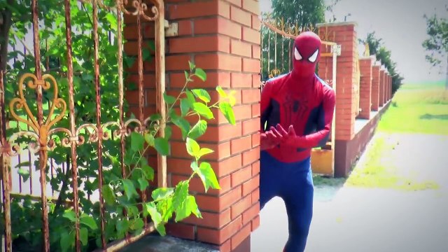 Frozen Elsa Turn Into Frog ws Spiderman ws Joker ws Maleficent Superhero Movie