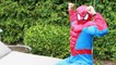 MERMAID KIDNAPPED Spiderman Saves Mermaid Superheroes in real life