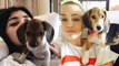 National Puppy Day - Miley Cyrus and More Celebs Snuggling in Bed With Their Pups