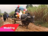 Đám cưới rước dâu bằng Những chiếc xe hoa 