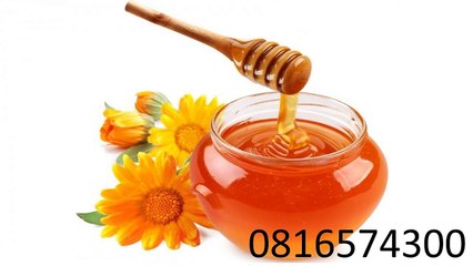 0816574300 Jual Madu Anak Nabire