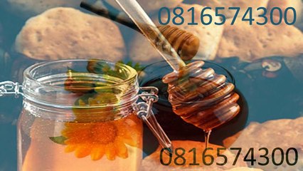 0816574300 Jual Madu Anak Nduga