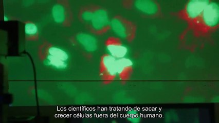 La Vida Inmortal de Henrietta Lacks - Trailer subtitulado