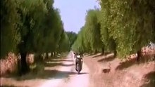 Funny clip