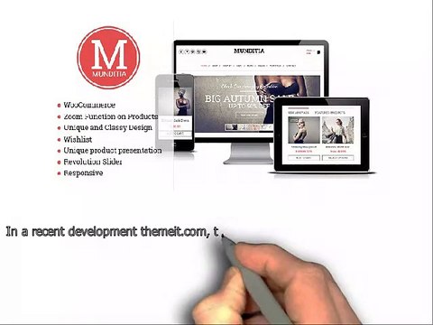 Wordpress woocommerce themes