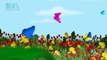 Fuzzy Confusa Caterpillar | Ciclo de Vida de una Mariposa | Animación canciones infantiles Para los Niños