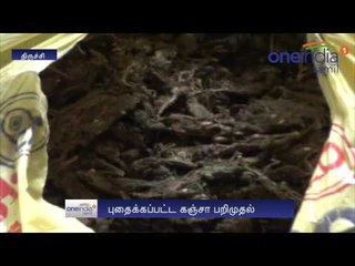 வீட்டுத் தோட்டத்தில் புதைக்கப்பட்ட 100 கிலோ கஞ்சா பறிமுதல்.. பெண் வியாபாரி கைது