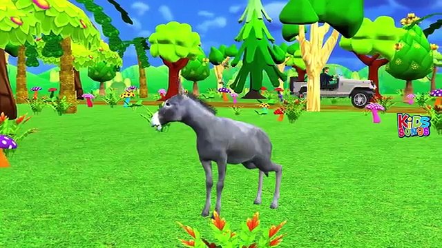 И животные цвета Яйца Семья палец Узнайте имен питомник тоже звуки сюрприз Дикий |