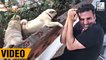 Akshay Kumar's CUTE Boxing Workout With Little Pugs