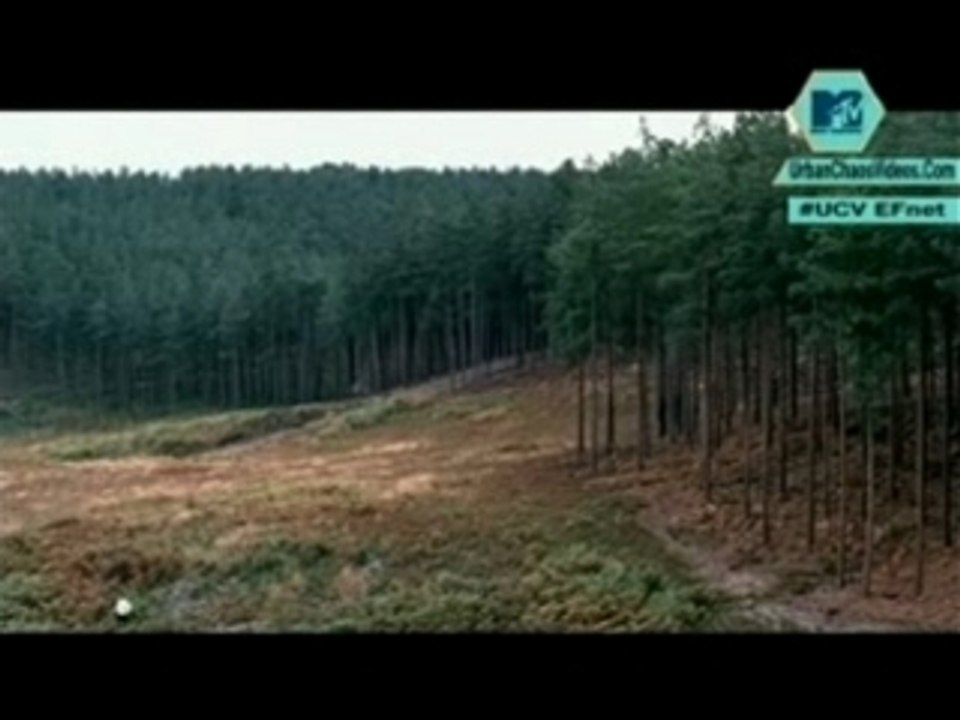 Cold Play - The Scientist