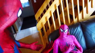 Pink Spidergirl Pregnant  Spiderman & Frozen Anna in Real Life! Fun Superhero Movie IRL
