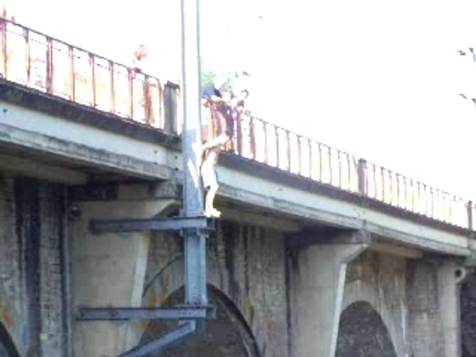 Plongeon d'un pont