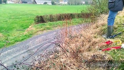 CRASH rallye du touquet 2017