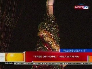 BT: 'Tree of Hope' sa Valenzuela City, inilawan na